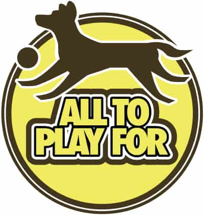 All To Play For