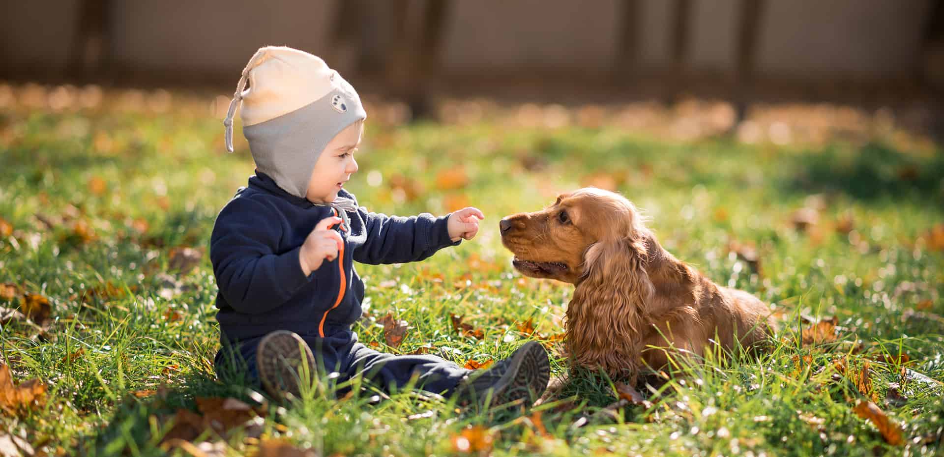 Making the juggle of parenting kids and dogs together easier