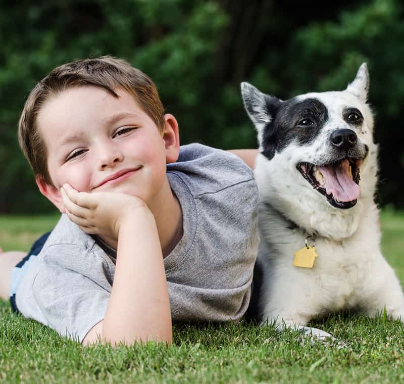 family dog training lsager Congleton Crewe
