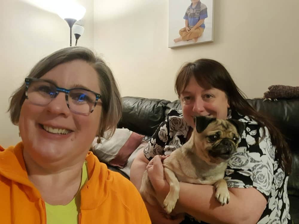 Dog training pricing