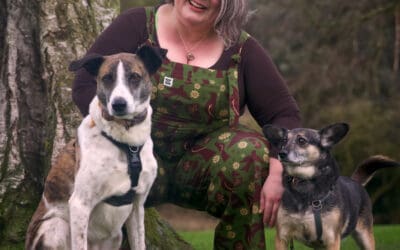 Rescue Dog Training: Why Going Slow Is the Fastest Way Forward